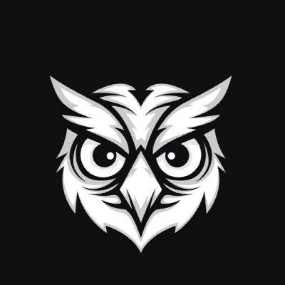 OpenOwl