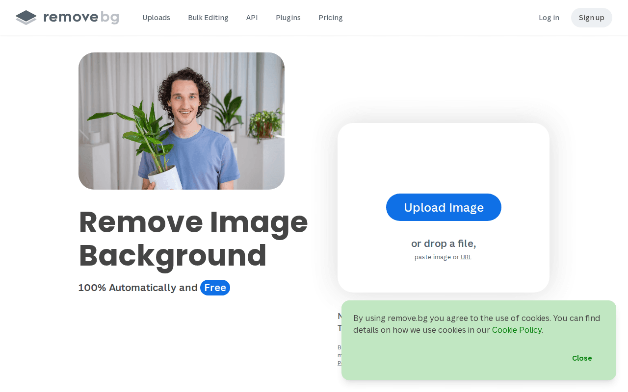 Remove Background from Image for Free – remove.bg