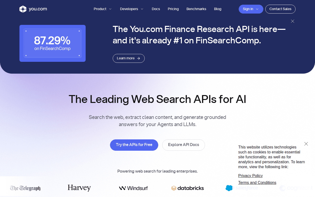 You.com Web Search APIs