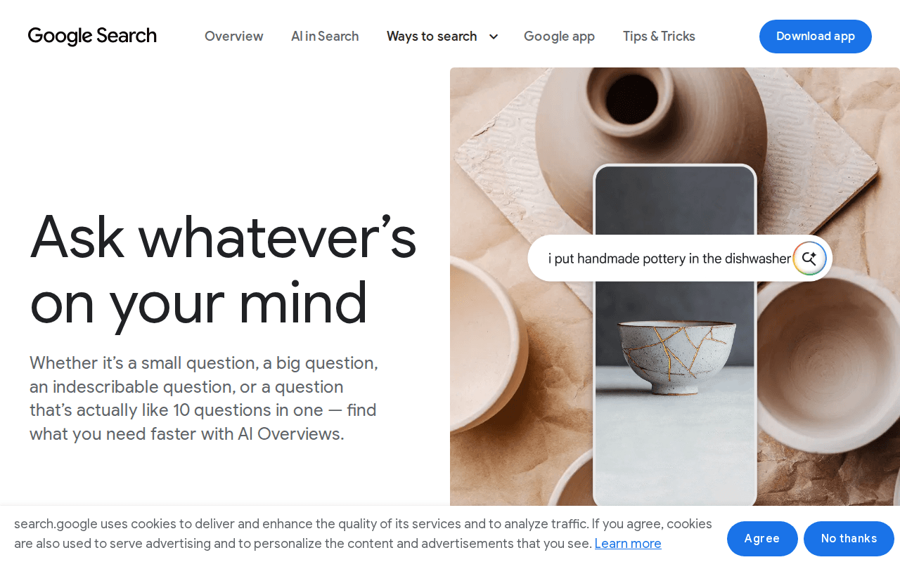 Google AI Overviews