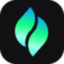 Verdent